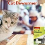 Cat Dewormer