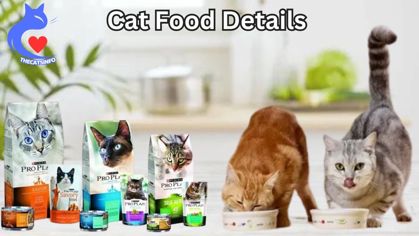 Cats Food