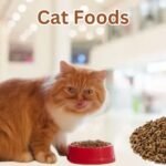 Cat Foods