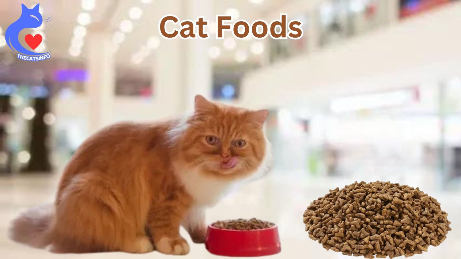 What Are The Top 5 Healthiest Cat Foods In The USA?