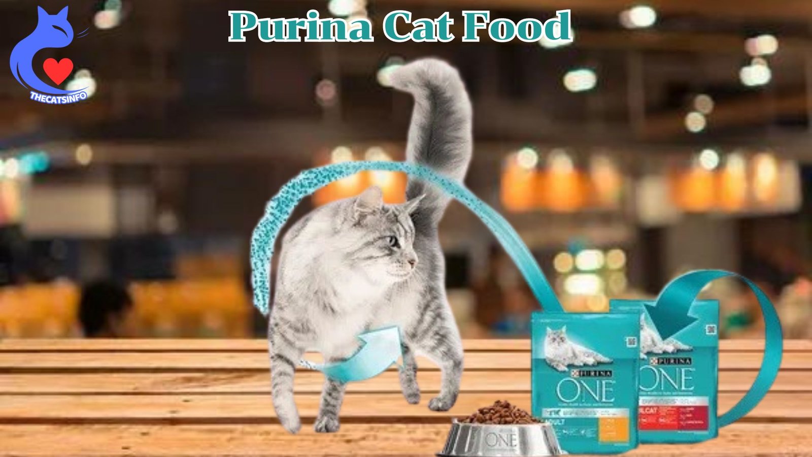 Purina Cat Food